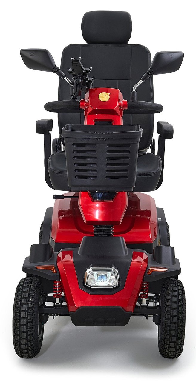 Golden Eagle - Image 6