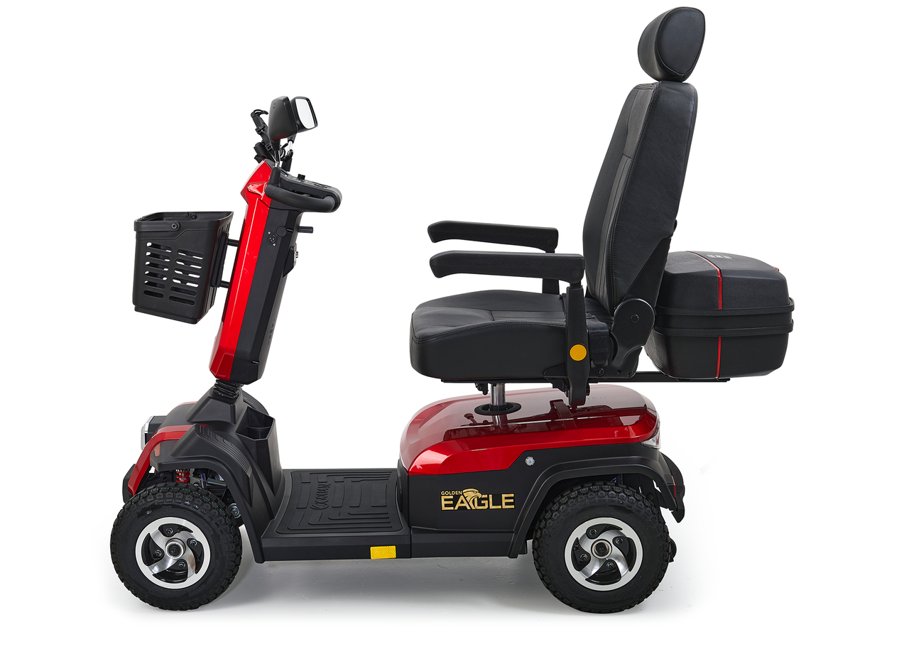 Golden Eagle - Image 4