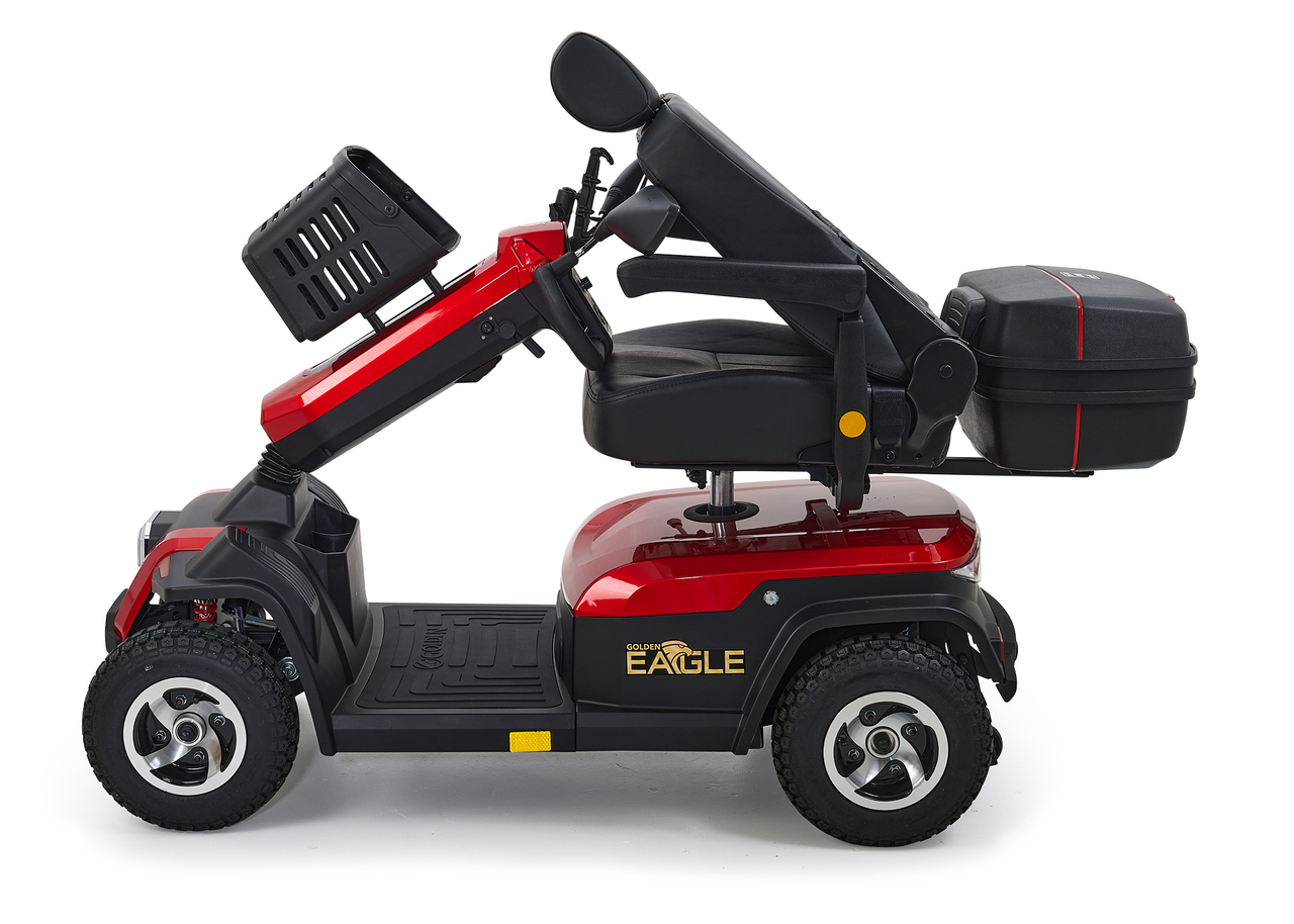 Golden Eagle - Image 7