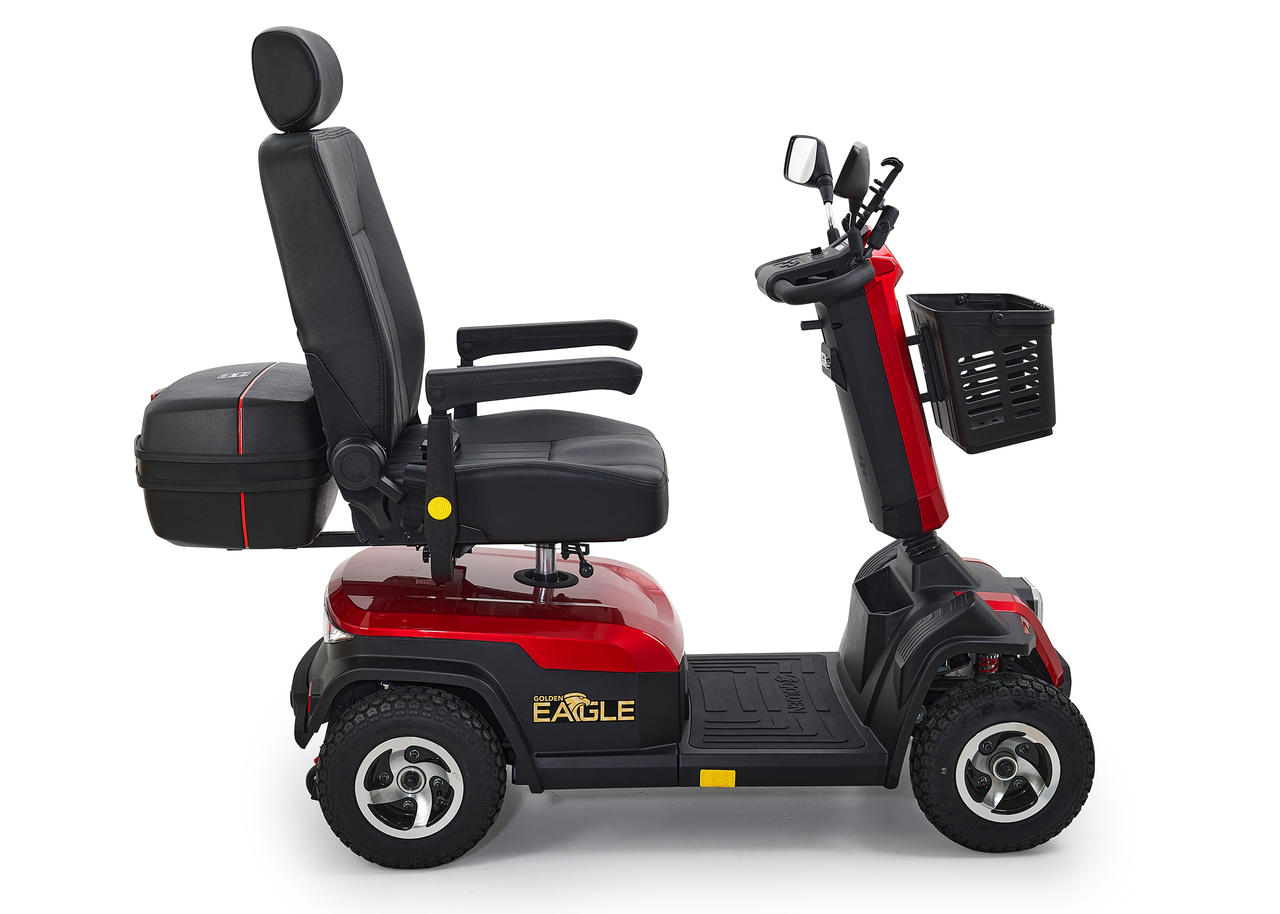 Golden Eagle - Image 2