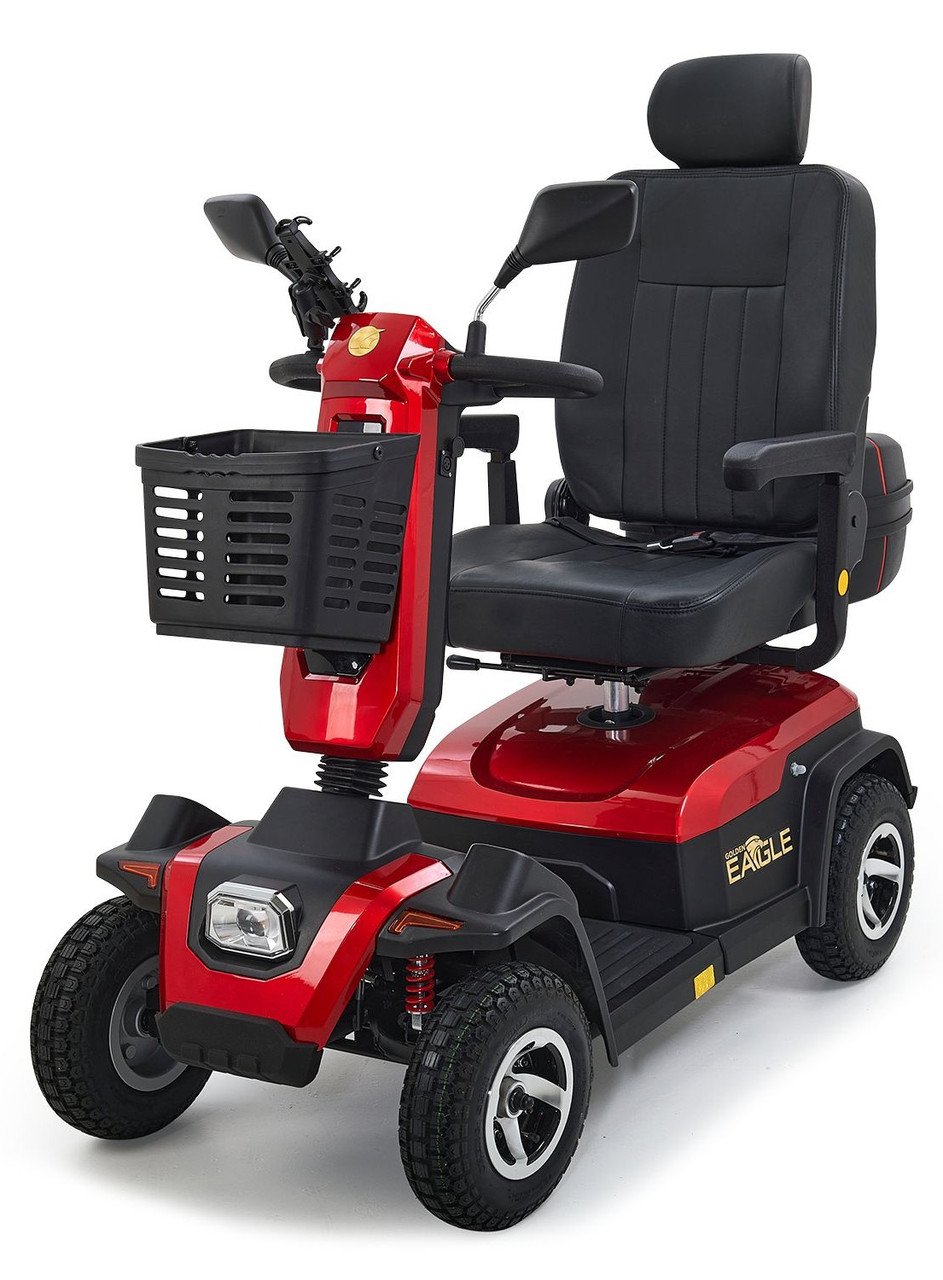 Golden Eagle - Image 8