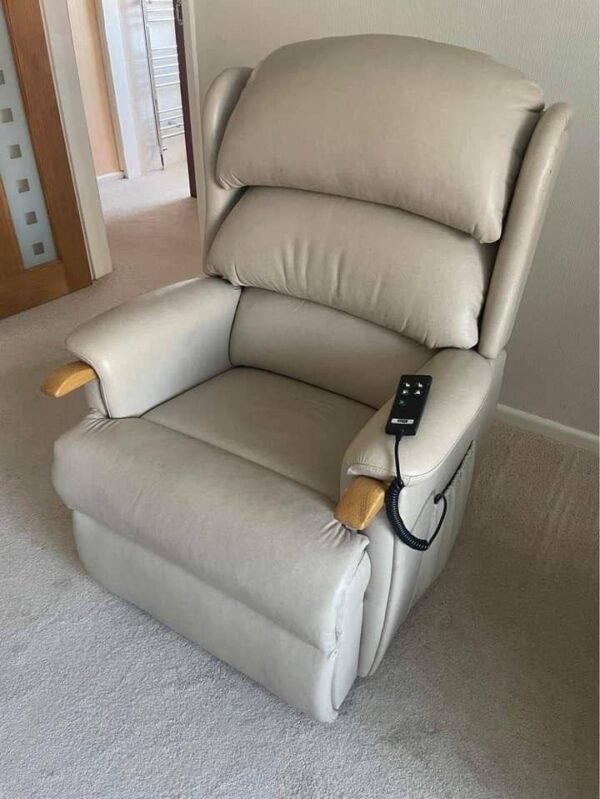 HSL Aysgarth Dual Motor Riser Recliner Chair, Leather, As New, Grande/Large Size-Award Winning Chair 2021 - Image 9
